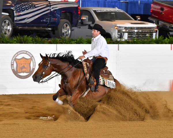 Equestrian photography by Shane Rux